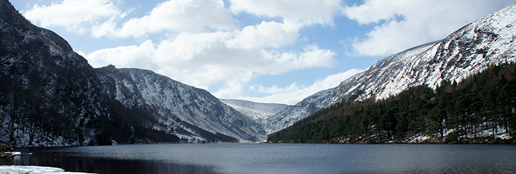 cork